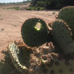 Damon Hahn - @hahndamon - Instagram