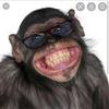 user629845364349 - @damonhahn55 - TikTok