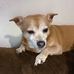 Shannon Dayon Hambrick - Facebook
