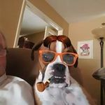 Damon Hammer - @damonhammer - Instagram