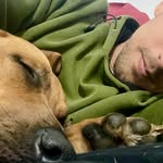 Damon Handley - @damonhandley - Instagram