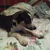 Damon Haston - @damon.haston0 - TikTok
