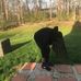 Damon Hicks - Facebook