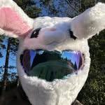 Damon Hocking - @mr.high17 - Instagram
