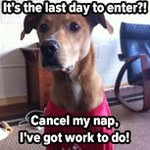Damon Holder - @citcockar - Instagram
