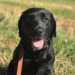 Damon Kerr - Facebook