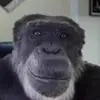Damon Key - @damonkey2 - TikTok