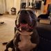 Damon Pearce - Facebook