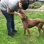 Damon Phillips - @damonphillips.works - Instagram