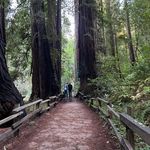 Damon Robbins - @damonorwhatever - Instagram