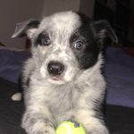 Damon Aaron Saunders - @dam0n_saunders - Instagram