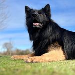 Damon saunders - @drsaunders8 - Instagram