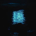 Damonwebster - @damonwebster133 - Instagram