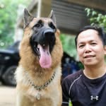 Dan Abalos - @abalos.dan - Instagram