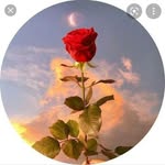 Dana_baloshi22 - @dana_baloshi22 - Instagram