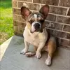 Dana Bates - @dana.bates1 - TikTok