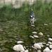 Dan Abrahamsen - Facebook