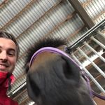 Dan Rudi Abrahamsen - @danabrahamsen - Instagram