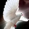 danny_ackman2 - @danny_ackman2 - TikTok