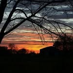 dana creek - @dana.creek - Instagram