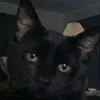 danacress657 - @danacress657 - TikTok