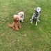 Dan Addison - Facebook