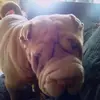 Dan Addison - @dan.addison4 - TikTok
