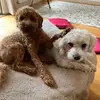 danaddison0 - @danaddison0 - TikTok
