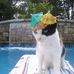 Danny Adsit - Facebook