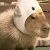 dana - @dana_.agosto14 - TikTok