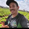 Dan Agro - @dansatos0 - TikTok