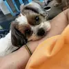 Dana Gros547 - @danagros547 - TikTok