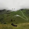 Dan Aguilera - @dan.aguilera1 - TikTok