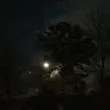 dana_hn - @dana_hn504 - TikTok