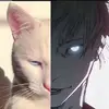 danahn.p - @danahn.p - TikTok