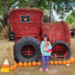 Dan Aiello - @aiello.dan - Instagram