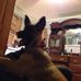 Dantheman Aiello - Facebook