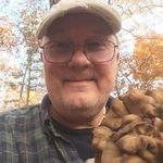 Dan Albee DeRidder - @ddadjoking - Instagram