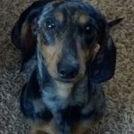 Dan Alderman - @dan.alderman.75 - Instagram