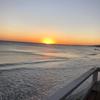 dani_alderman - @dani_alderman - TikTok