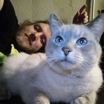 Dan Aldrich - @sir_kelzad - Instagram