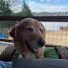 Dan Aldridge - @dan.aldridge2 - TikTok