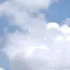 Dana :) - @danaler4 - TikTok