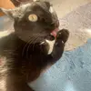 Me - @danalert - TikTok