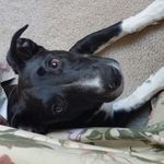 Dan Alford - @dan.the.man.74 - Instagram