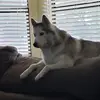 danallyn - @danallyn - TikTok