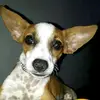 user6039170893862 - @danalpe - TikTok