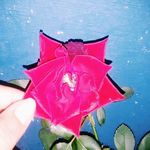 Dara - @dan_alternativo - Instagram