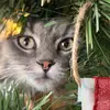 danaarchuleta - @danaarchuleta - TikTok