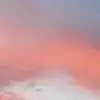 dani_arendt - @dani_arendt - TikTok